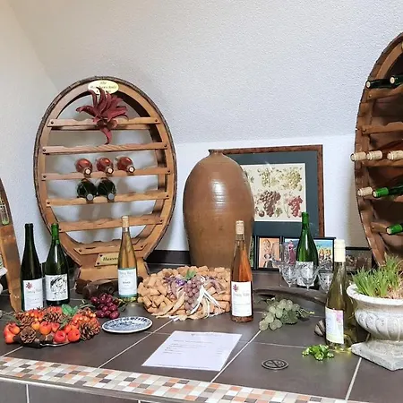 Alte Weinbauschule Casa de Férias *